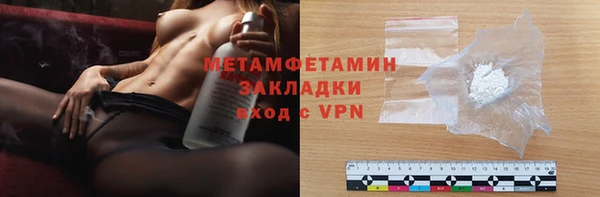 прущие грибы Наволоки