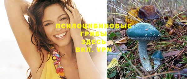 прущая мука Медвежьегорск