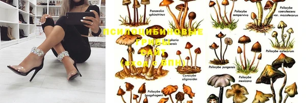 ГАЛЛЮЦИНОГЕННЫЕ ГРИБЫ Мегион