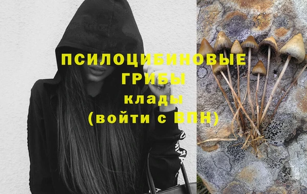 ГАЛЛЮЦИНОГЕННЫЕ ГРИБЫ Мегион