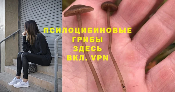 jwh Медногорск